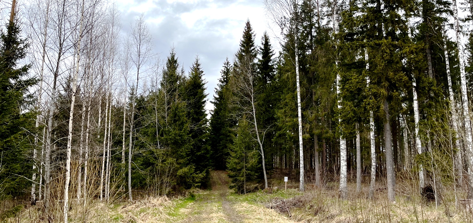 KÕRGEMÄGI – MUISTSEST PELGUPAIGAST TÄNASEKS KAITSEALAKS